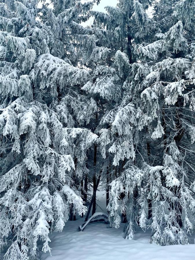 Malinowy Zakatek Triventi Mountain Apartamento Karpacz