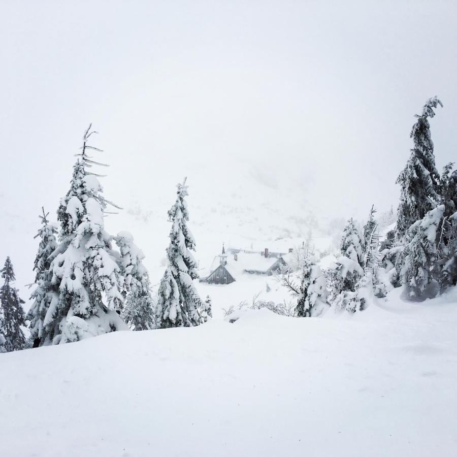 Malinowy Zakatek Triventi Mountain Apartamento