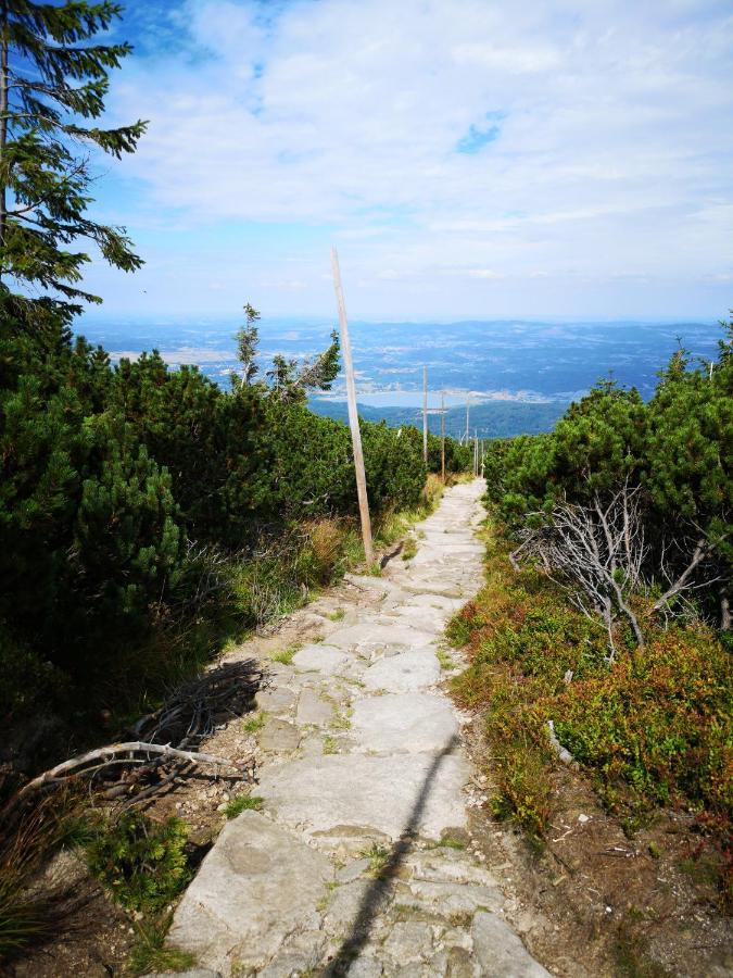 Malinowy Zakatek Triventi Mountain Karpacz